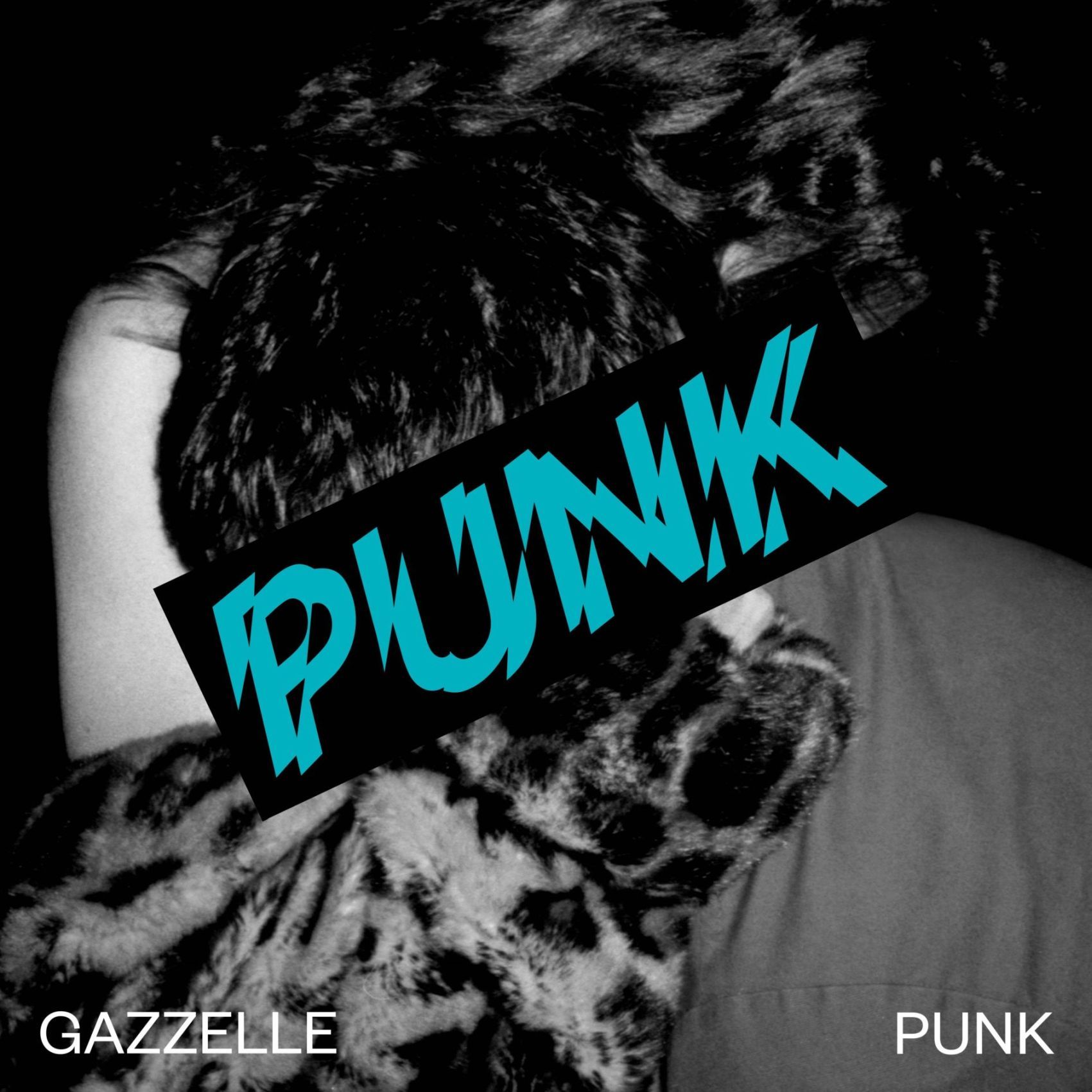 Gazzelle Punk